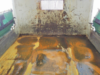 日野レンジャーダンプ中型（4t）[写真09]