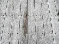 いすゞギガアルミブロック大型（10t）[写真11]