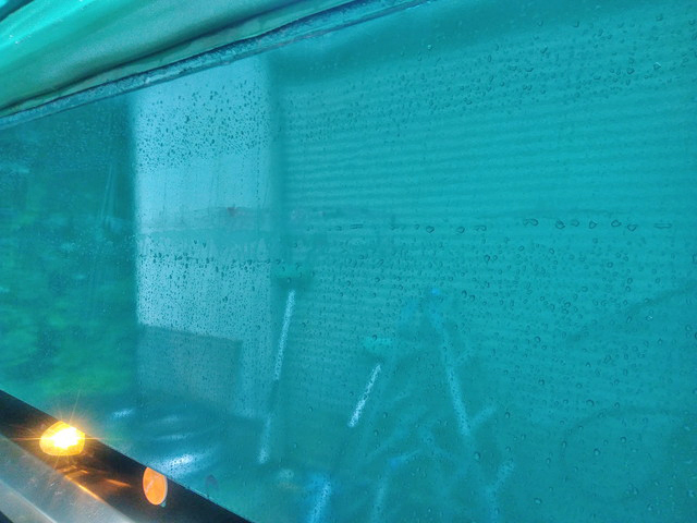 日野プロフィアダンプ大型（10t）[写真09]