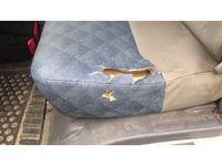 三菱ふそうキャンター平ボディ小型（2t・3t）[写真22]