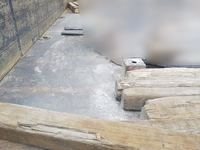 三菱ふそうスーパーグレート平ボディ大型（10t）[写真08]