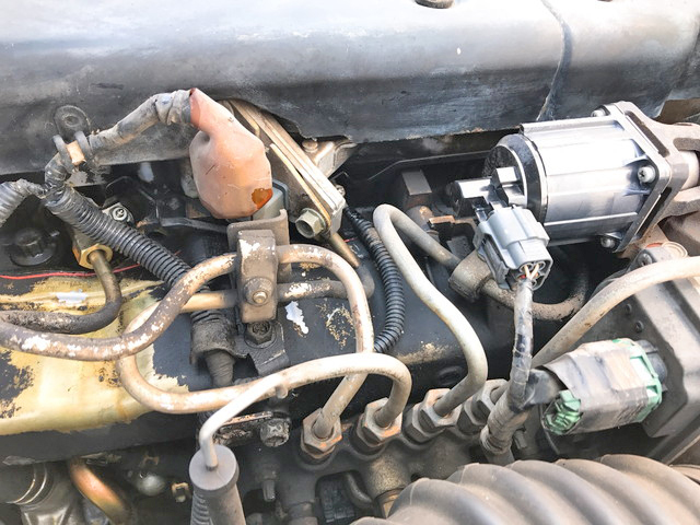 いすゞエルフダンプ小型（2t・3t）[写真29]