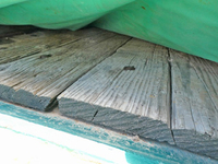 東急その他の車種重機運搬トレーラー大型（10t）[写真05]