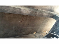 三菱ふそうキャンターガッツダブルキャブ（Wキャブ）小型（2t・3t）[写真15]