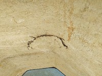 いすゞエルフ高所作業車小型（2t・3t）[写真16]