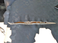 いすゞエルフ高圧洗浄車小型（2t・3t）[写真36]