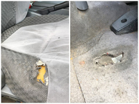 いすゞフォワードアルミウイング中型（4t）[写真36]