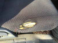 三菱ふそうキャンターダンプ小型（2t・3t）[写真22]