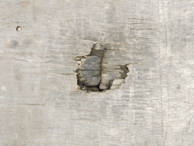 三菱ふそうキャンター平ボディ小型（2t・3t）[写真15]