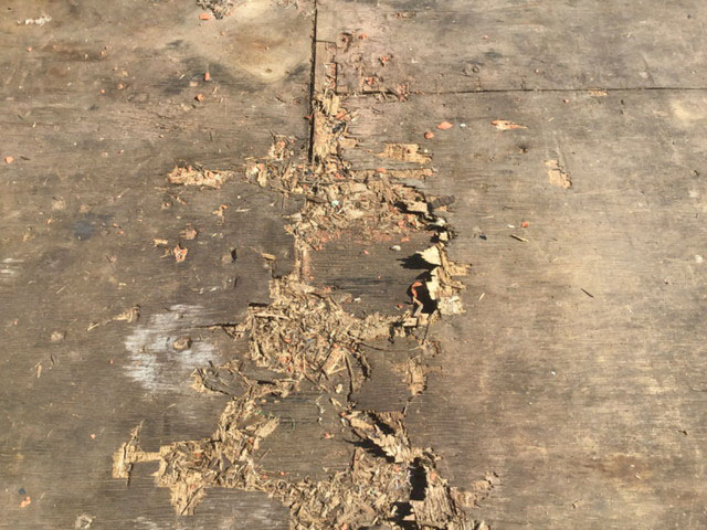 いすゞエルフ平ボディ小型（2t・3t）[写真09]