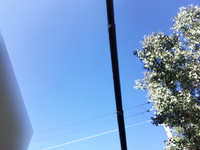 三菱ふそうスーパーグレートクレーン4段大型（10t）[写真20]