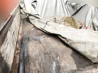 三菱ふそうキャンター平ボディ小型（2t・3t）[写真12]