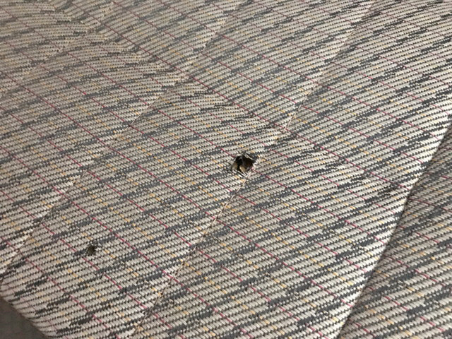 日野リエッセⅡマイクロバス[写真16]