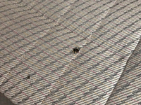 日野リエッセⅡマイクロバス[写真16]