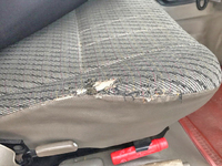 日野リエッセⅡマイクロバス[写真21]