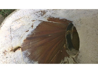 日野レンジャーミキサー車（コンクリートミキサー）増トン（6t・8t）[写真12]