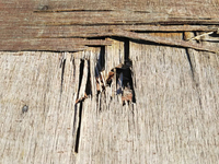 いすゞエルフ平ボディ小型（2t・3t）[写真14]