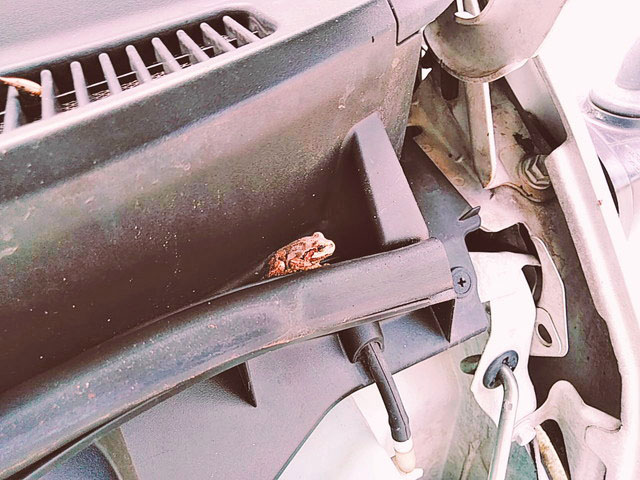 トヨタレジアスエースバン小型（2t・3t）[写真15]