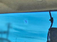 三菱ふそうスーパーグレートパネルウイング大型（10t）[写真25]