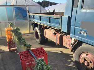 中古ダンプ マツダ 栃木・青森・東京 タイタン（KC-WGEAD）（4,685kg