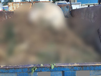 三菱ふそうキャンターダンプ小型（2t・3t）[写真08]