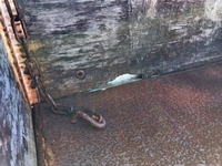 いすゞエルフ平ボディ小型（2t・3t）[写真12]