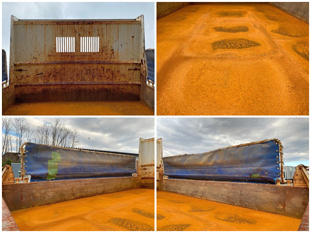 いすゞフォワードダンプ中型（4t）[写真14]