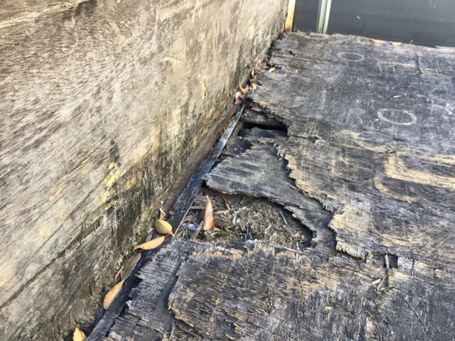 いすゞフォワード平ボディ中型（4t）[写真12]