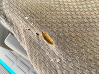 トヨタトヨエースアルミバン小型（2t・3t）[写真39]