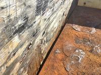 いすゞエルフ平ボディ小型（2t・3t）[写真11]