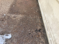 マツダボンゴ平ボディ小型（2t・3t）[写真11]