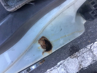 トヨタコースターマイクロバス[写真20]