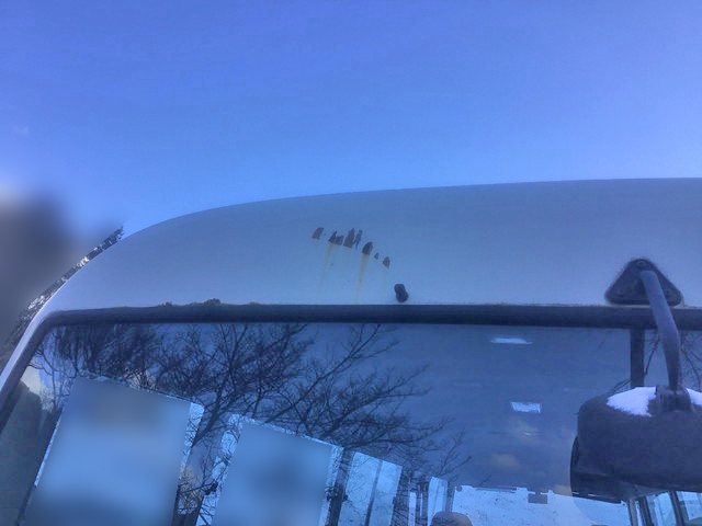 トヨタコースターマイクロバス[写真08]