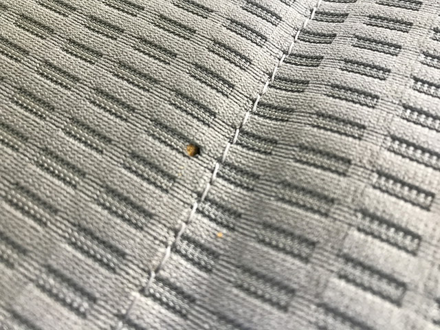 トヨタトヨエース平ボディ小型（2t・3t）[写真39]