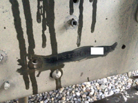 日野プロフィアミキサー車（コンクリートミキサー）大型（10t）[写真25]