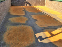 三菱ふそうファイターダンプ中型（4t）[写真07]