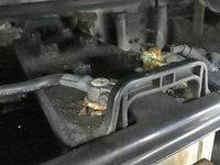 いすゞギガアルミウイング大型（10t）[写真15]