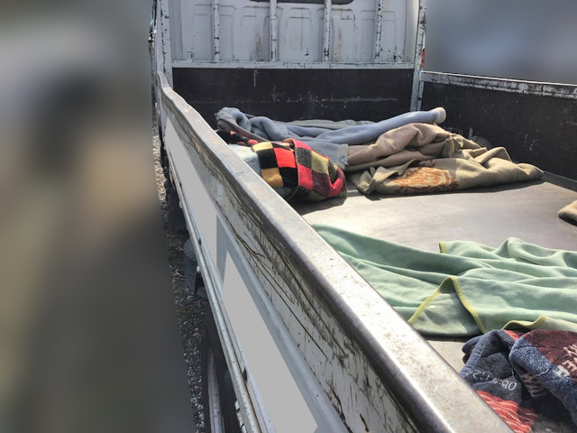 いすゞエルフ平ボディ小型（2t・3t）[写真11]