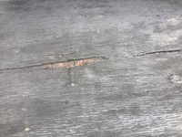 いすゞエルフクレーン4段小型（2t・3t）[写真35]