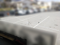 日野プロフィアアルミウイング大型（10t）[写真05]