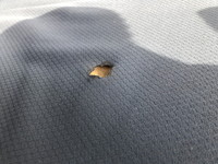 三菱ふそうキャンター平ボディ小型（2t・3t）[写真30]