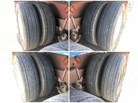 日野プロフィア汚泥吸引車大型（10t）[写真25]