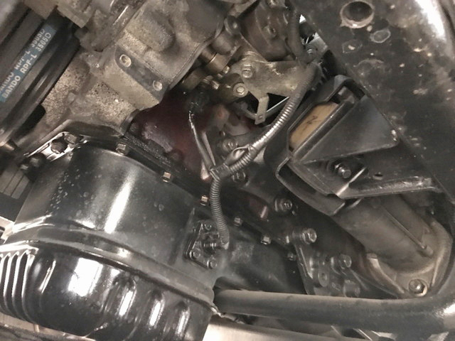 日野リエッセⅡ園児バス[写真27]