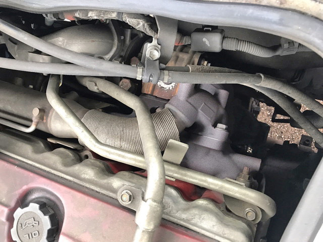 日野リエッセⅡ園児バス[写真31]