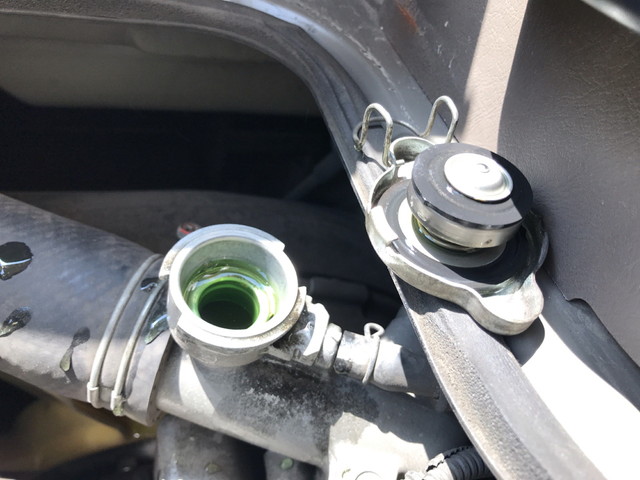 三菱ふそうローザ園児バス[写真22]