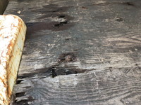 トヨタトヨエースダブルキャブ（Wキャブ）小型（2t・3t）[写真11]