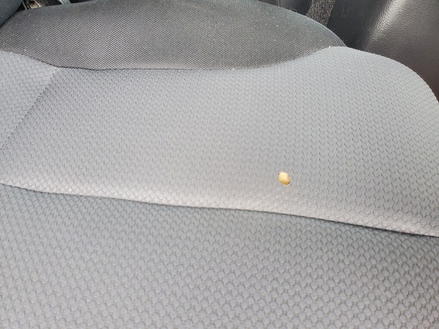 日野プロフィアアルミウイング大型（10t）[写真19]