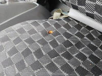 いすゞエルフ冷凍車（冷蔵車）小型（2t・3t）[写真32]