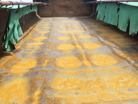 日野プロフィアダンプ大型（10t）[写真07]