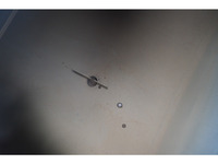 いすゞエルフ散水車小型（2t・3t）[写真14]